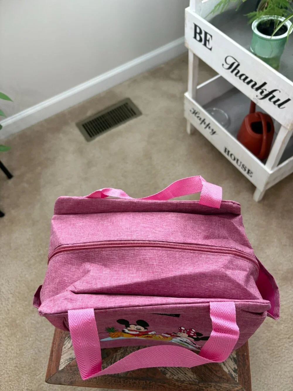 Brivilas Pink Mickey and Minnie Mouse, insulated lunch bag, and Blue Bento Box
